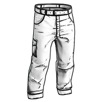 Buy Rust clothing Comics Pants skin