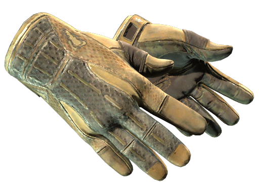 Buy CS2 gloves ★ Sport Gloves | Arid (Battle-Scarred) skin