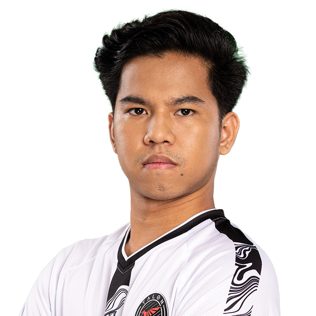 Buy Dota 2  Glitter Akashi Player Sticker - TI 2024 skin